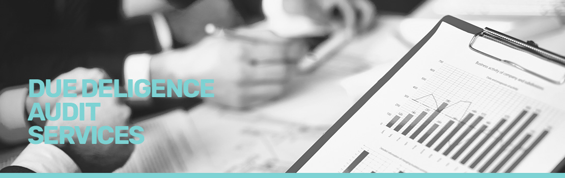 Due Diligence Audit Services Banner