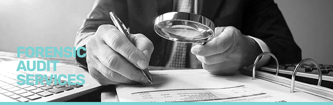 Forensic Audit Services