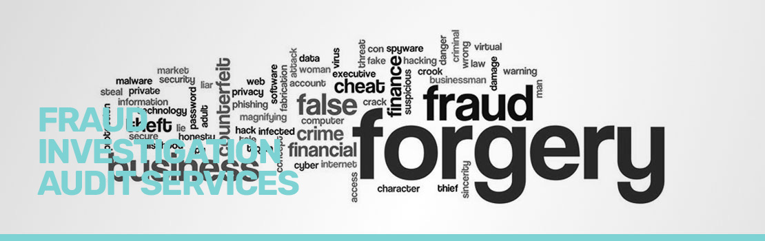Fraud Investigation Audit Banner